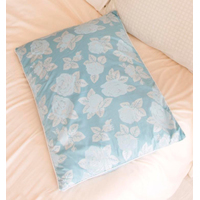Спальная подушка Smart Textile Золотая пропорция 60x40 E796 (голубой)