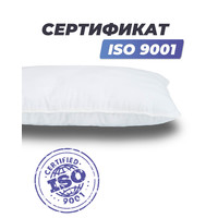 Спальная подушка Фабрика сна Buona-euro 80х40
