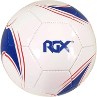 Футбольный мяч RGX RGX-FB-1701 (5 размер, белый/синий)