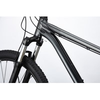 Велосипед Cannondale Trail 5 29 L 2020 (графит)