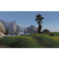 Компьютерная игра PC World of Warcraft: Legion