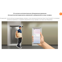 Дверной звонок Xiaomi Smart Doorbell 3 MJML06-FJ (международная версия)
