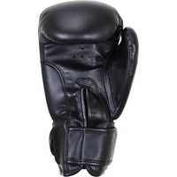 Перчатки для бокса BoyBo Basic 12 OZ (черный)
