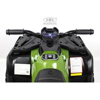 Электроквадроцикл RiverToys T001TT 4WD (зеленый)