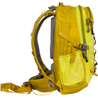Городской рюкзак Polar П2170 (желтый)