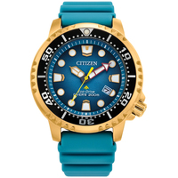 Наручные часы Citizen Promaster BN0162-02X