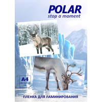 Пленка для печати Polar A4P996910 для струйной печати А4, 130 мкм, 10 л