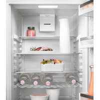 Холодильник Liebherr CNdbl 5223 Plus No Frost