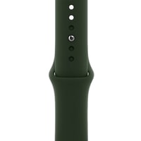 Умные часы Apple Watch Series 6 LTE 40 мм (сталь золотистый/зеленый спортивный)