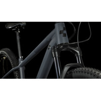 Велосипед Cube ACID 29 XL 2024 (grey'n'pearlgrey)