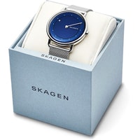 Наручные часы Skagen SKW6488
