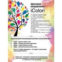 Крем-краска для волос KayPro iColori 4.1