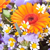 Цветы, букеты Bloom Букет «Загадка»