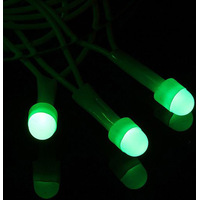 Новогодняя гирлянда Luazon Метраж Led-100 контроллер (10 м, зеленый) [1080544]