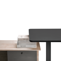 Подстолье для работы стоя ErgoSmart Electric Desk Prime (черный)