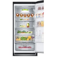 Холодильник LG DoorCooling+ GA-B509PBAM
