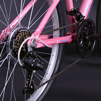 Велосипед LTD Princess 24 (розовый, 2017)