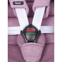 Детское автокресло Rant Nitro Isofix UB619 (серый/розовый)