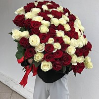 Цветы, букеты LaRose 101 бело-красная роза Эквадор