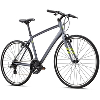Велосипед Fuji Absolute 2.1 (серый, 2018)