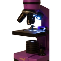 Детский микроскоп Levenhuk Rainbow 2L (аметист) 69036