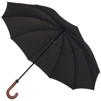 Зонт-трость ArtRain 1660
