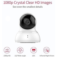 IP-камера YI 1080p Dome Camera китайская версия (белый)