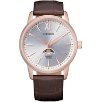Наручные часы Citizen AK5003-05A