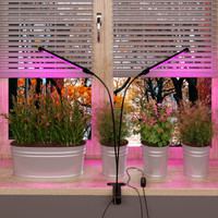 Лампа для растений Elektrostandard FT-005 для растений на прищепке (черный)