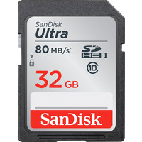 Карта памяти SanDisk SDHC (Class 10) 32GB [SDSDUNC-032G-GN6IN]
