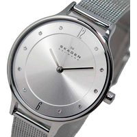 Наручные часы Skagen SKW2149