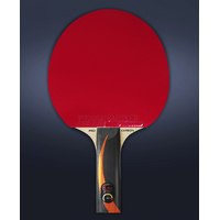 Ракетка для настольного тенниса Gambler X Fast Carbon X3d GRC-18 (прямая)