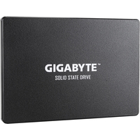 SSD Gigabyte 1TB GP-GSTFS31100TNTD