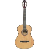 Акустическая гитара Terris TC-3901A NA