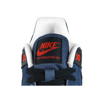 Кроссовки Nike Air Pegasus 89 синий (344082-446)