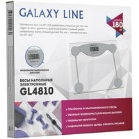 Напольные весы Galaxy Line GL4810 (серебристый)