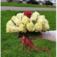 Цветы, букеты Storroz Букет из 30 белых и 1 красной розы 50 см