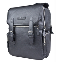 Городской рюкзак Carlo Gattini Premium Santerno 3007-55 (железно-серый)