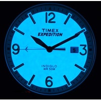 Наручные часы Timex Expedition TW4B10600