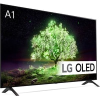 OLED телевизор LG OLED55A1RLA