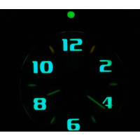 Наручные часы Luminox A.0215.SL