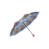 Складной зонт Raindrops 995X-2
