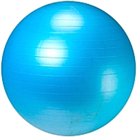 Гимнастический мяч Sundays Fitness IR97402-75 (голубой)