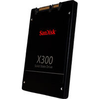 SSD SanDisk X300 128GB (SD7SB6S-128G-1122)