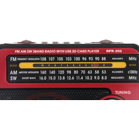 Радиоприемник Ritmix RPR-202 (красный)