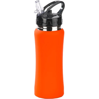 Бутылка для воды Colorissimo Water Bottle 0.6л (оранжевый) [HB01-OR]