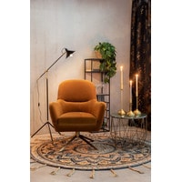 Интерьерное кресло Dutchbone Robusto (коричневый/золотистый) в Витебске