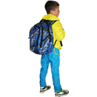 Школьный рюкзак Spayder 694 Butterfly Blue