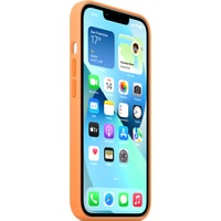 Чехол для телефона Apple MagSafe Silicone Case для iPhone 13 (весенняя мимоза)