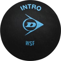 Мяч для сквоша DUNLOP Intro (1 синяя точка, 1 шт)